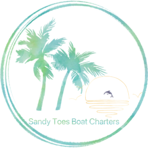 sandy toes boat charters